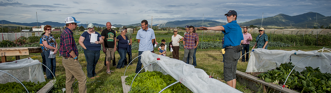 A group of students survey rows of plants in a field.