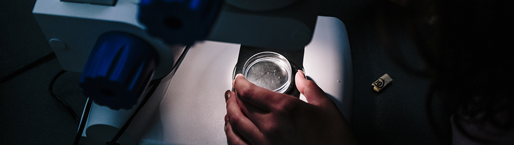 A close-up of a scientist observing a cellular sample under a microscope.