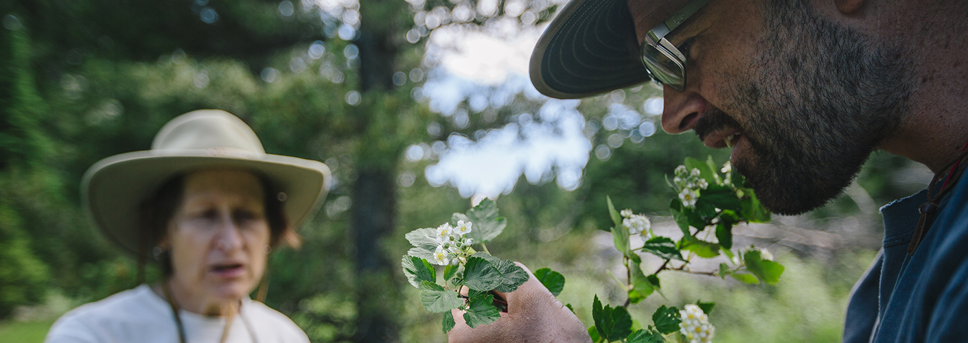 A man inspects a sprig of foliage in bloom while a woman in a sunhat looks on in the background.