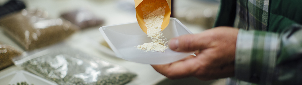 A scientist weighs out a flour for measurement.