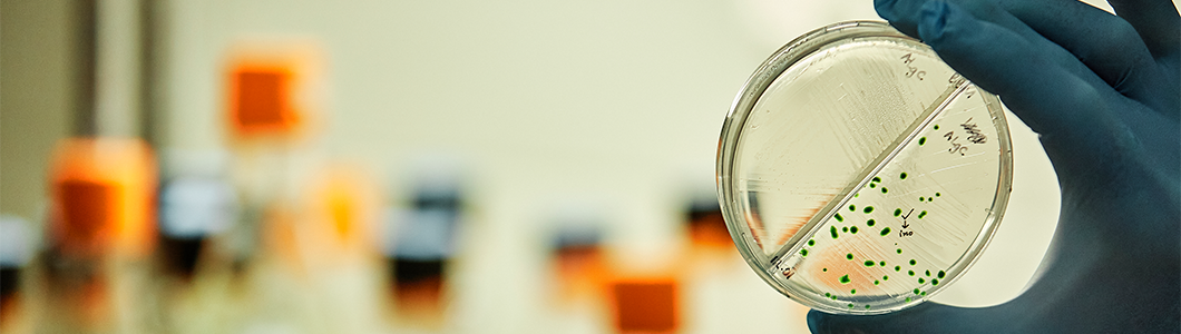 scientist holding a cell sample.