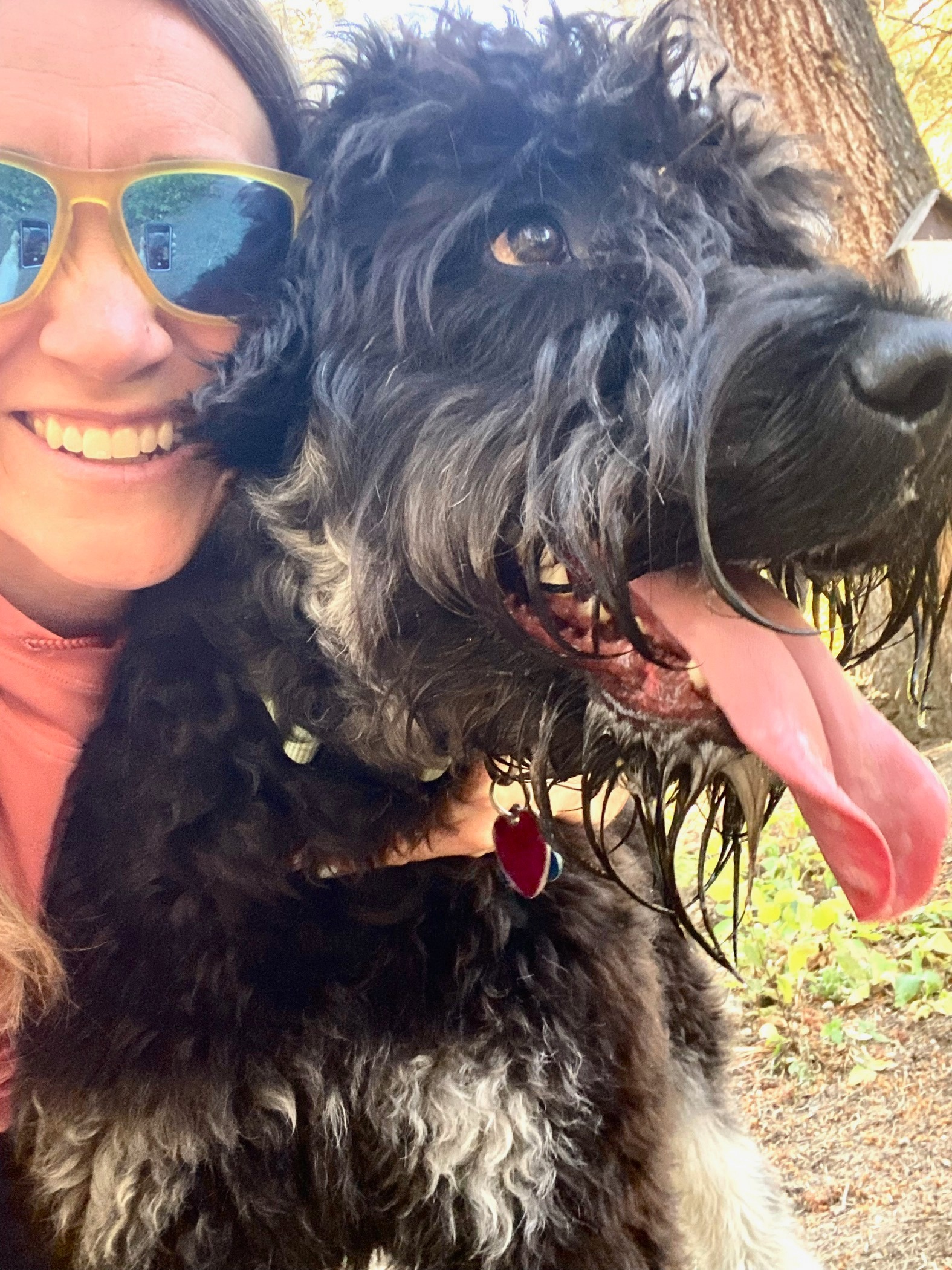 Put Image Description Here