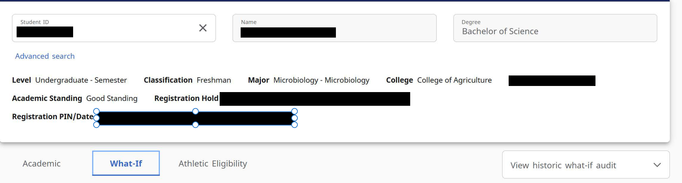 What If Advisor