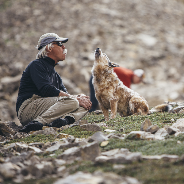 Dave and Darwin