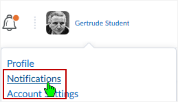 D2L DL CD v1074 screenshot - select "Notification" link from drop menu