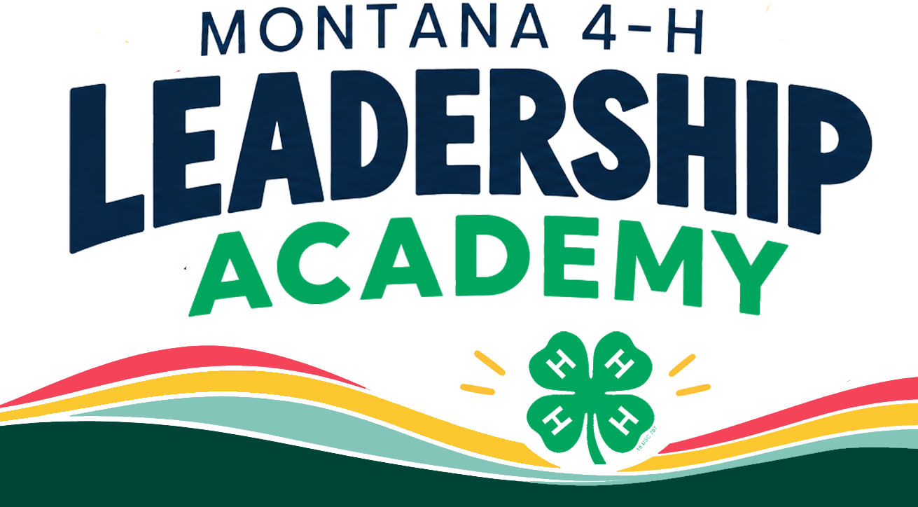leadership academy banner with colorful acents and green 4-H clover. 