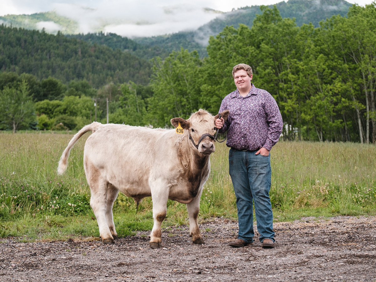 4-H member with a cow