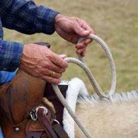 Person on a tan horse holding reins with two steady hands four inches apart