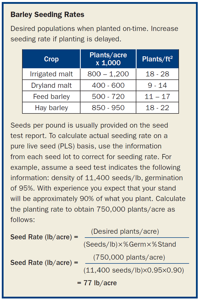 a figure showing the equations needed to find barley seeding rates