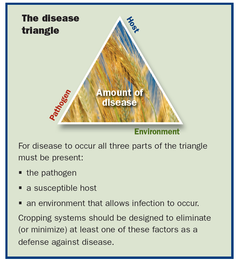 a triangle describing the relationship between the pathogen, host, and environment