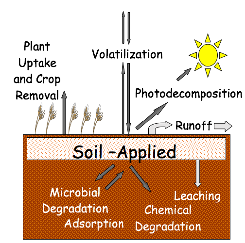 Diagram showing the factors affecting soil-applied herbicides, with arrows depicting the direction of movement of the herbicide upward into plants, off the soil through runoff, deeper into the soil through leeching, and various kinds of degradation.