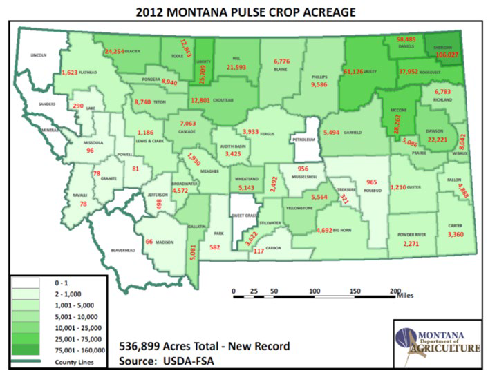 Map titled ‘2012 Montana Pulse Crop Acreage.’ Montana counties shaded light to dark green by acreage range, with red numeric acreage values in each county. Caption reads ‘536,899 Acres Total – New Record. Source: USDA‑FSA.