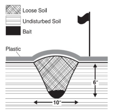 Diagram of a bait trap with a hole with measurements 10 inches wide and 6 inches deep. Labels read ‘Loose Soil,’ ‘Undisturbed Soil,’ ‘Bait,’ and ‘Plastic.’ A flag marker is shown above ground.