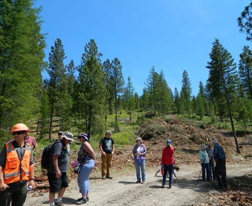 A group of people on a property filled with green trees.