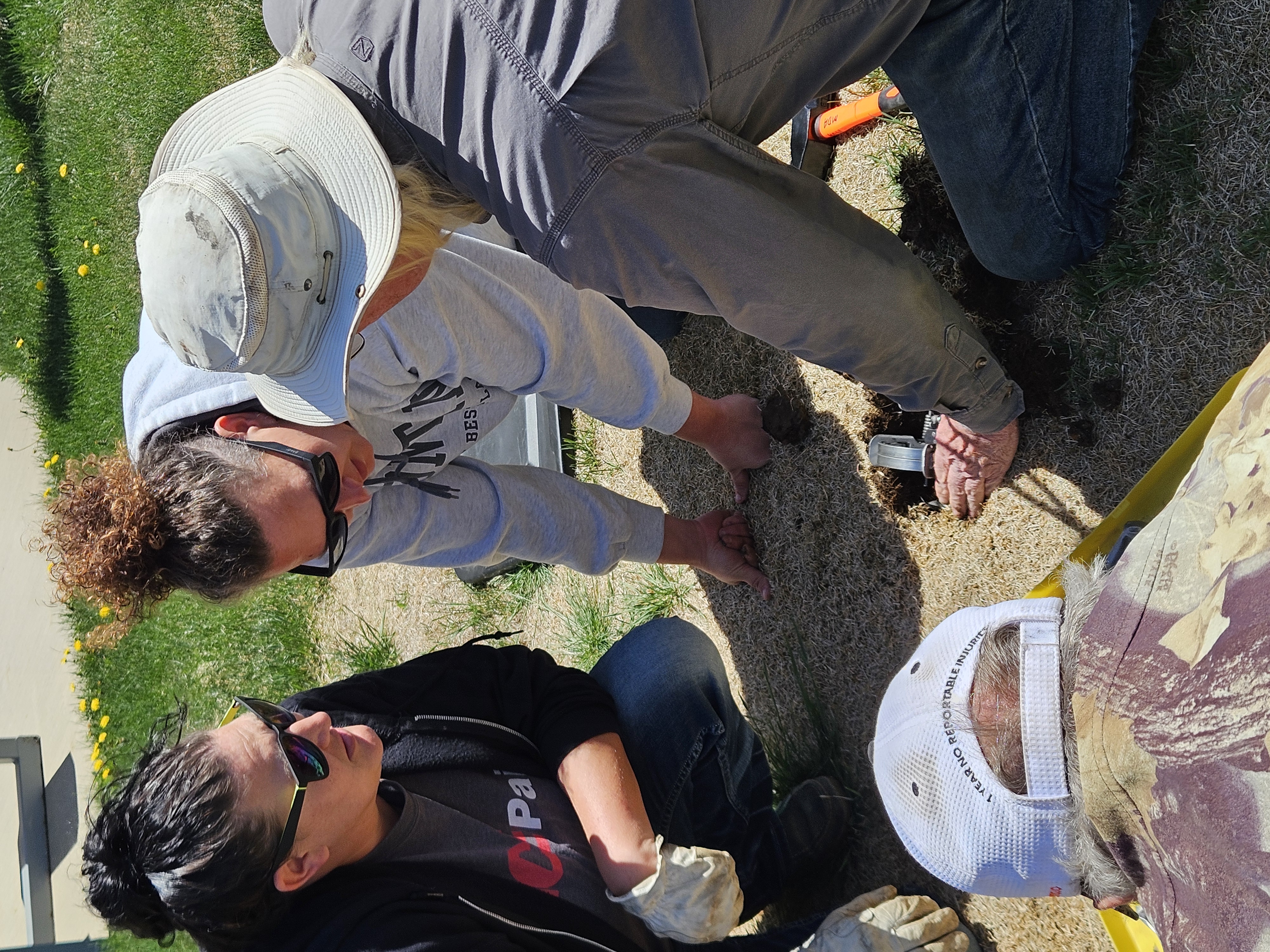 Coyote Trap Setting Demonstration