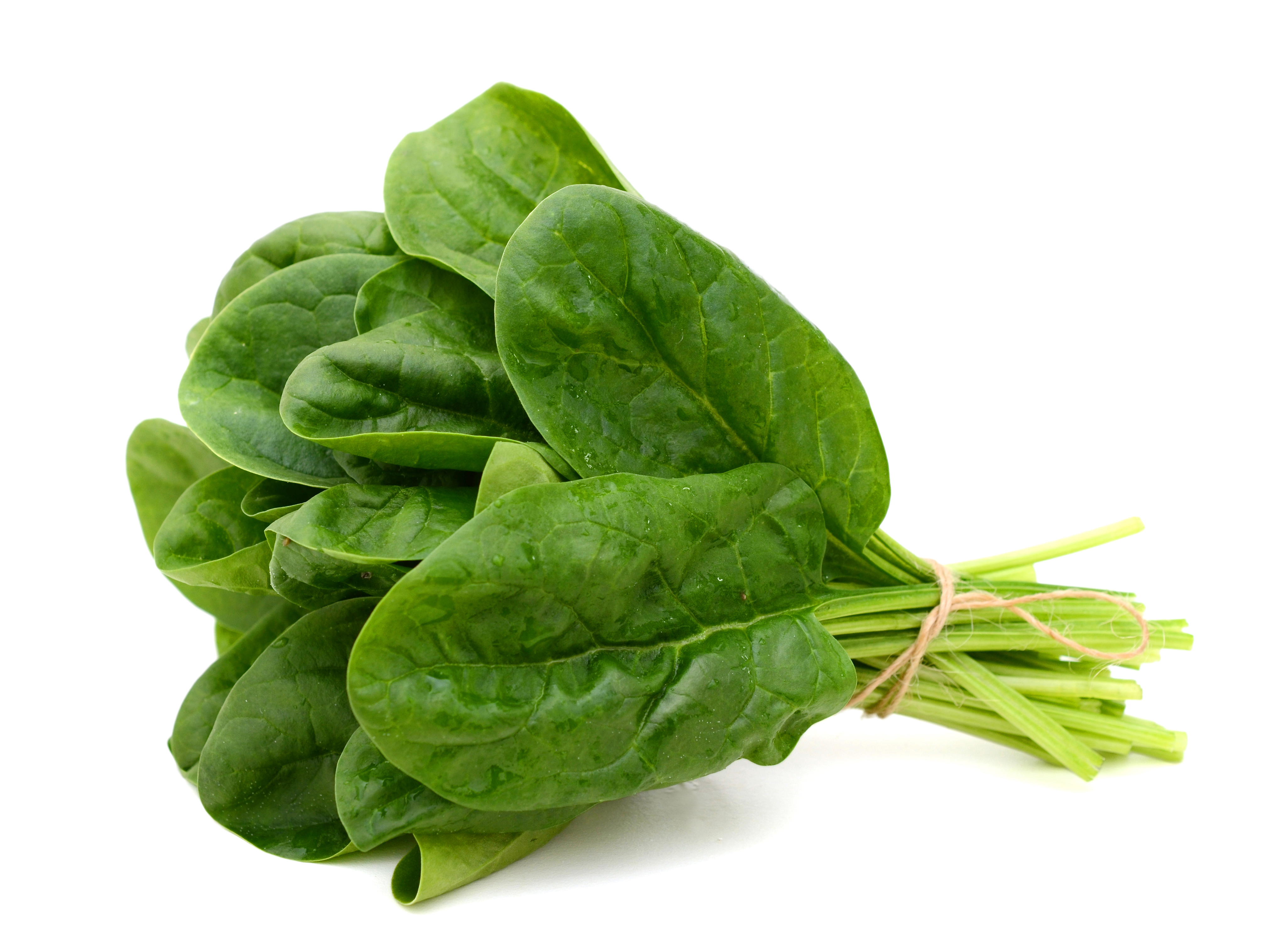 A bunch of green spinach held together by string.