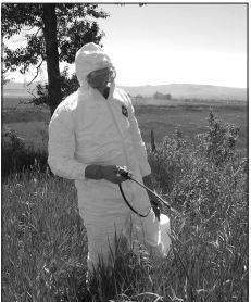 Man spraying field image