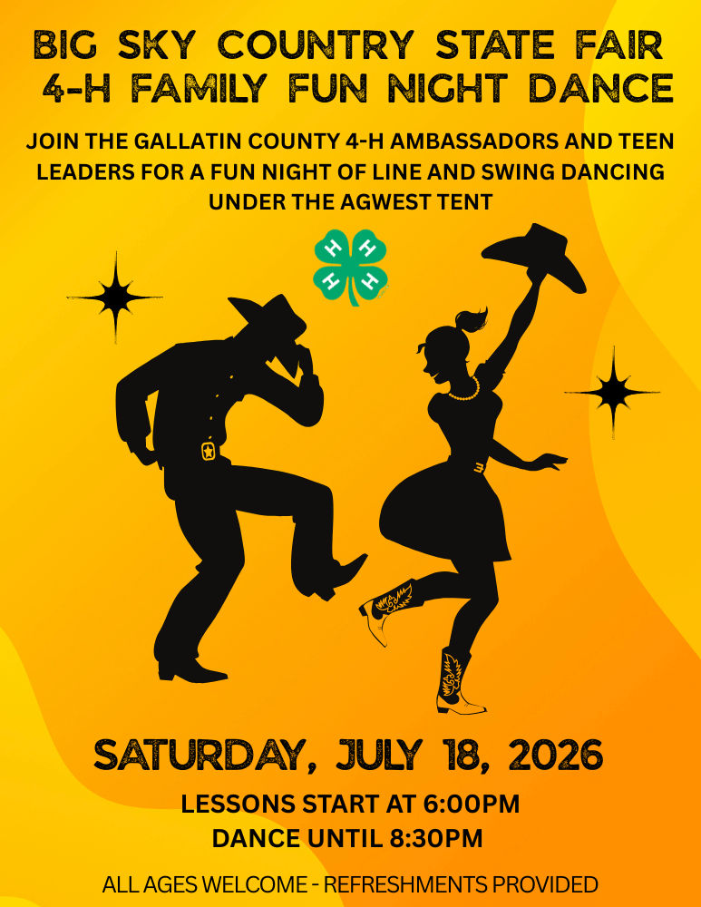 2026 Fair Dance Flyer 2026 Fair Dance Flyer