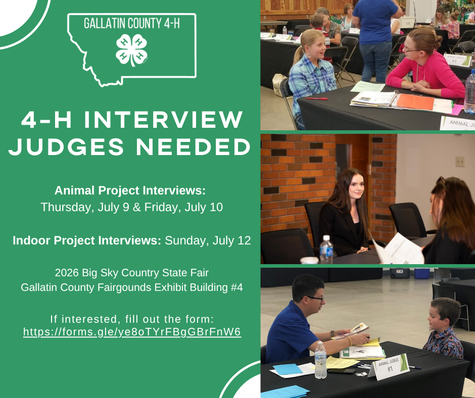 2026 Judges Needed