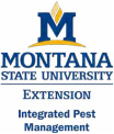 msu extenstion ipm