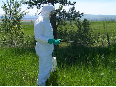 Photo of a person wearing full PPE and carrying a spray bottle