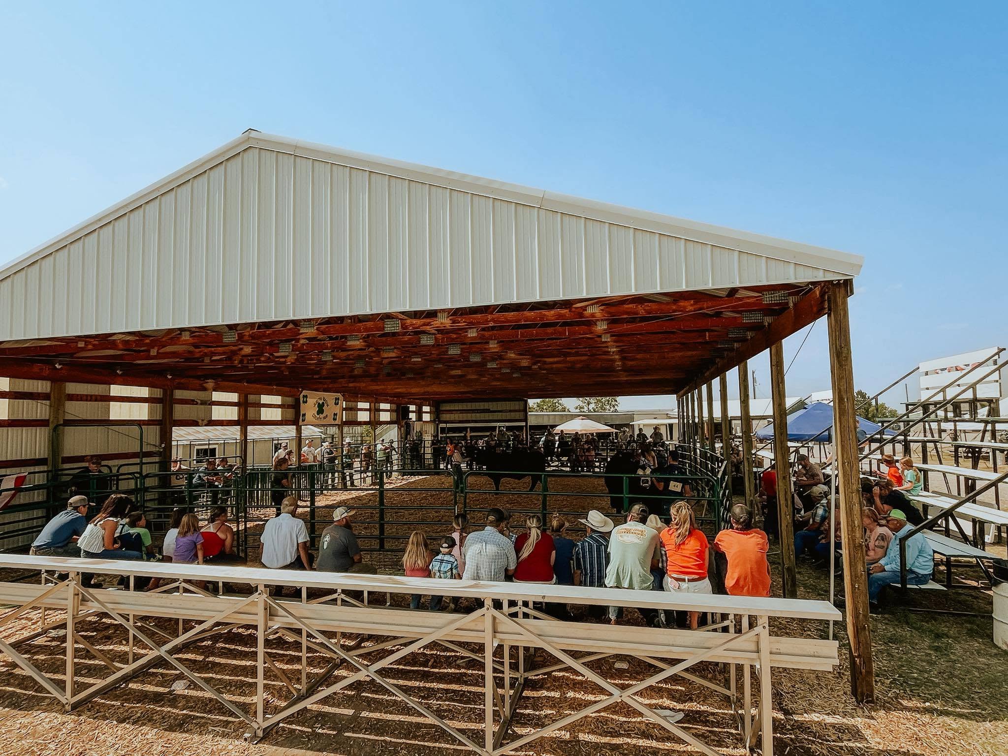 A group of fair goers watch a livestock show in the show arena at the 2026 Judith Basin County Fair