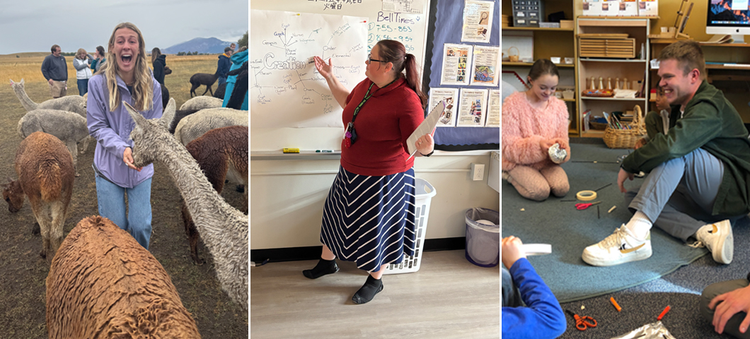 Three images are side by side. First, a woman with a look of excitement feeds an alpaca from her hand. Then, a woman standing at the front of a classroom gestures to words on a whiteboard. Finally, a man sits on the floor of a classroom surrounded by young children who are making crafts with scissors, tape, and markers.