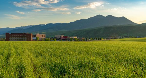 Looking over a bright green field in early morning sunlight towards the south facing side of the Bozeman Deaconess Hospital. The Bridger Mountain Range is visible in the background.