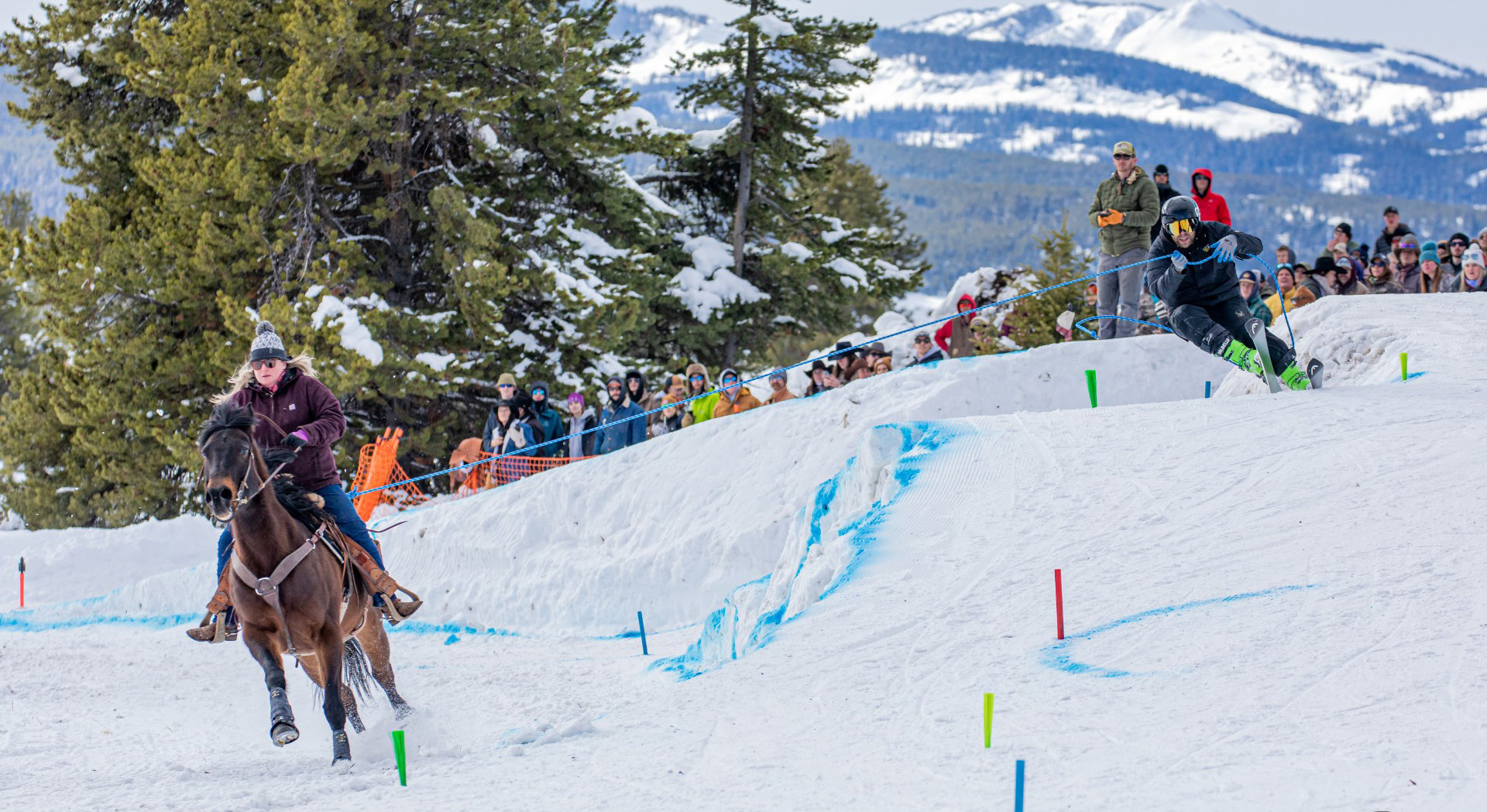 A woman rides a horse that is pulling a skier through a course of snowy hills and jumps while a crowd watches.