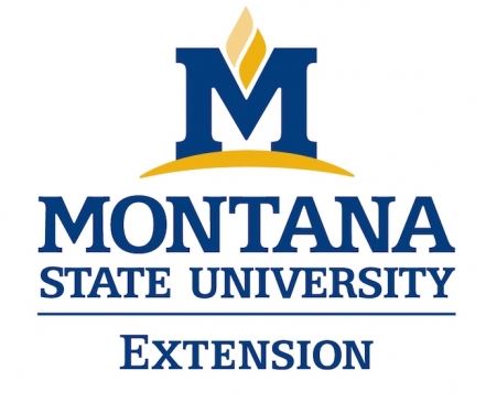 MSU Extension Logo