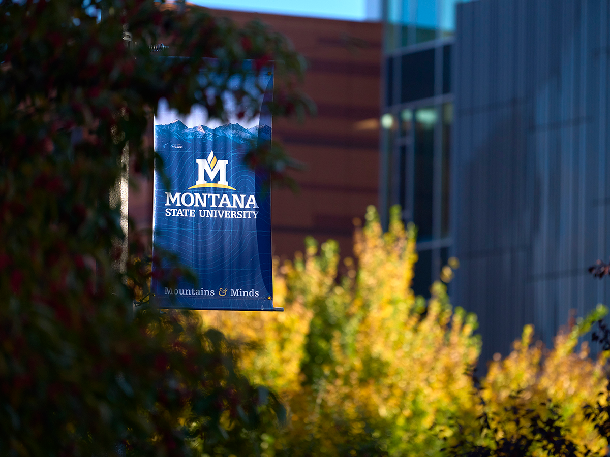A banner on a lightpole that says Montana State University. There are trees slightly obscuring the view of the banner