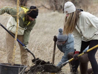 ppl planting tree