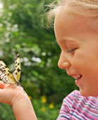 child with butterfly