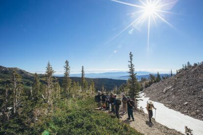 Group of hikers walks along a mountain trail surrounded by trees under a bright sun in a clear blue sky.