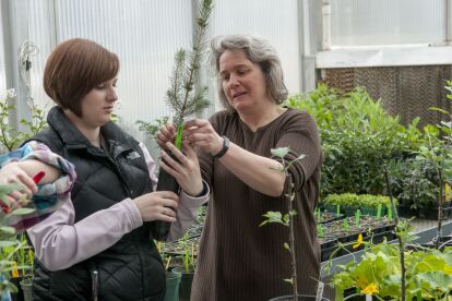 Two people examine a small pine tree seedling inside a greenhouse filled with potted plants.