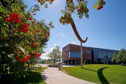 Campus walkway lined with trees and red berries leads to a modern academic building under a clear blue sky.