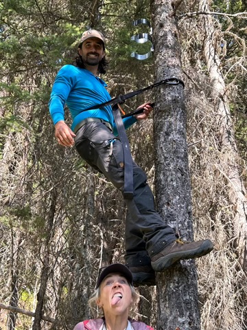 Nolan Helmstetter deploying a scent pump for marten work. Collaborator Jessy Coltrane assists.