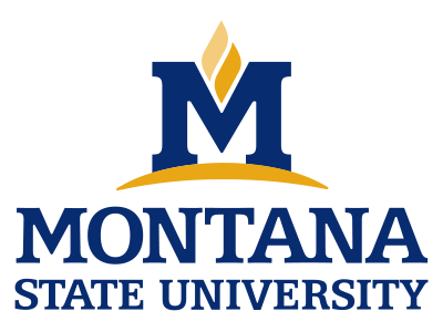 MSU core logo