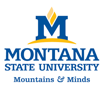 MSU Logo