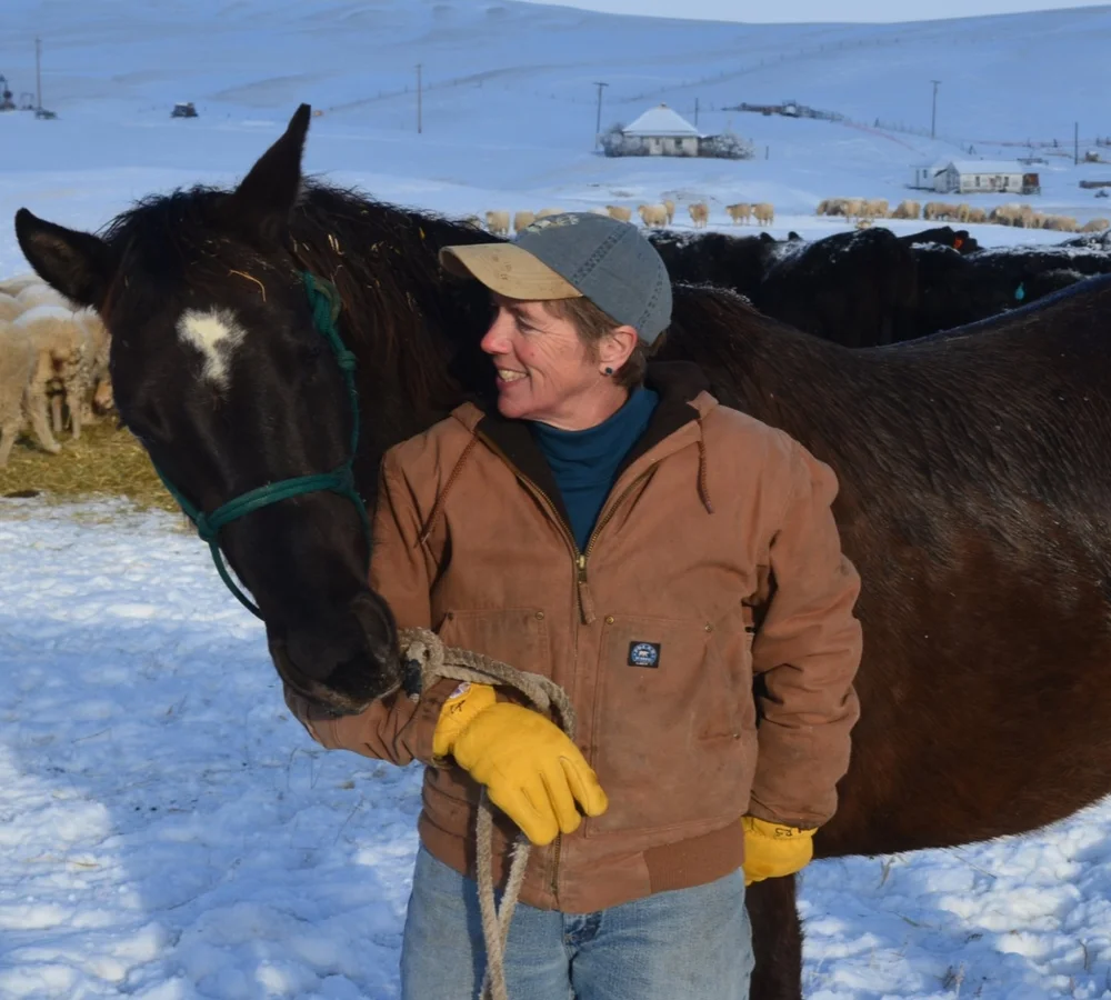 Lisa Schmidt Photo of Lisa Schmidt