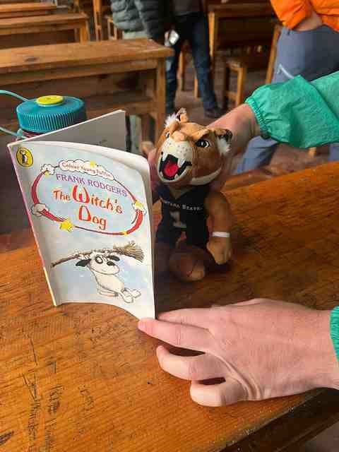 Champ the Bobcat reads a children's book at a school desk.