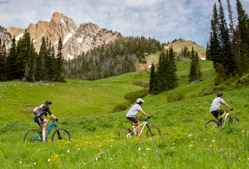 students biking