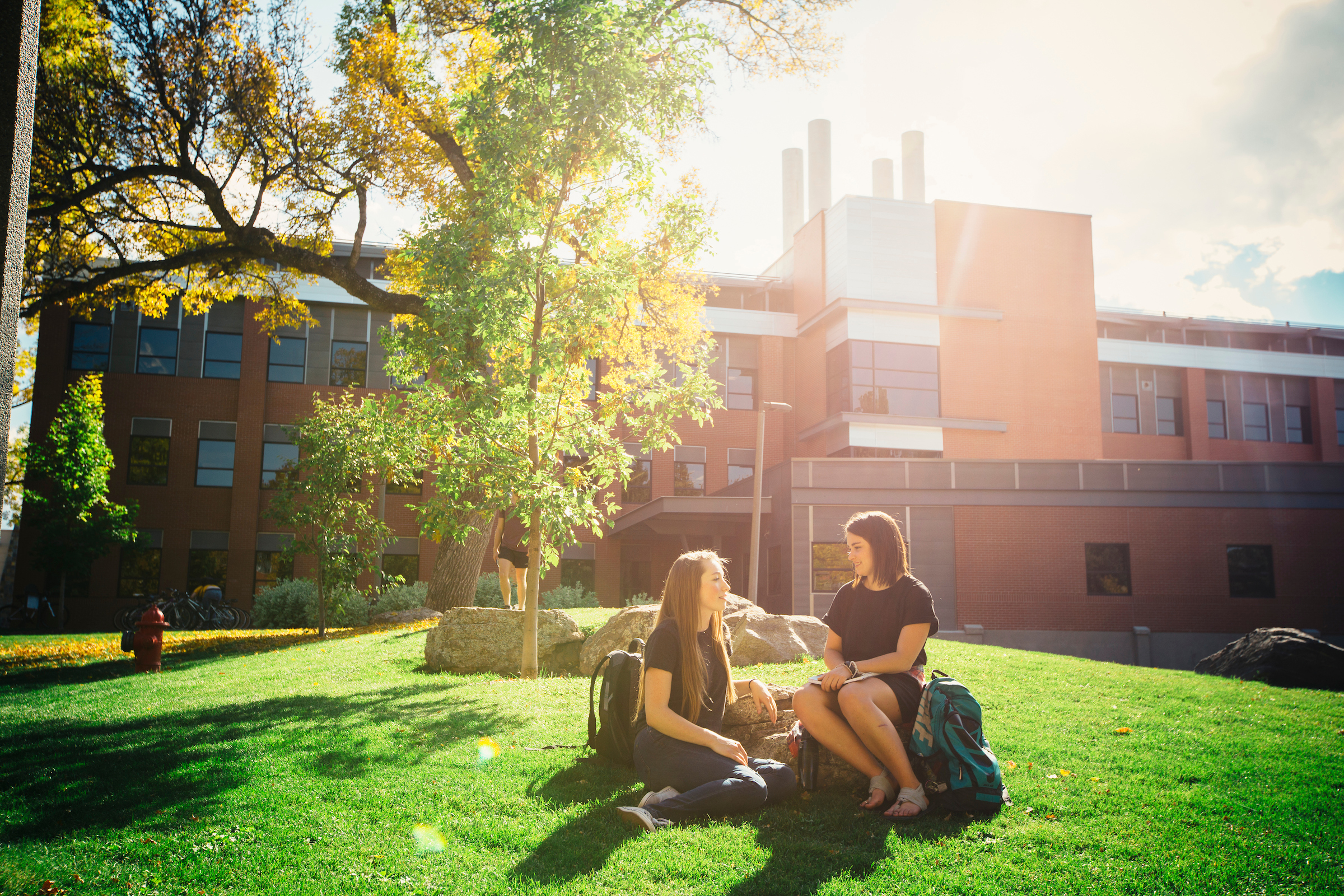 students sitting together on grass