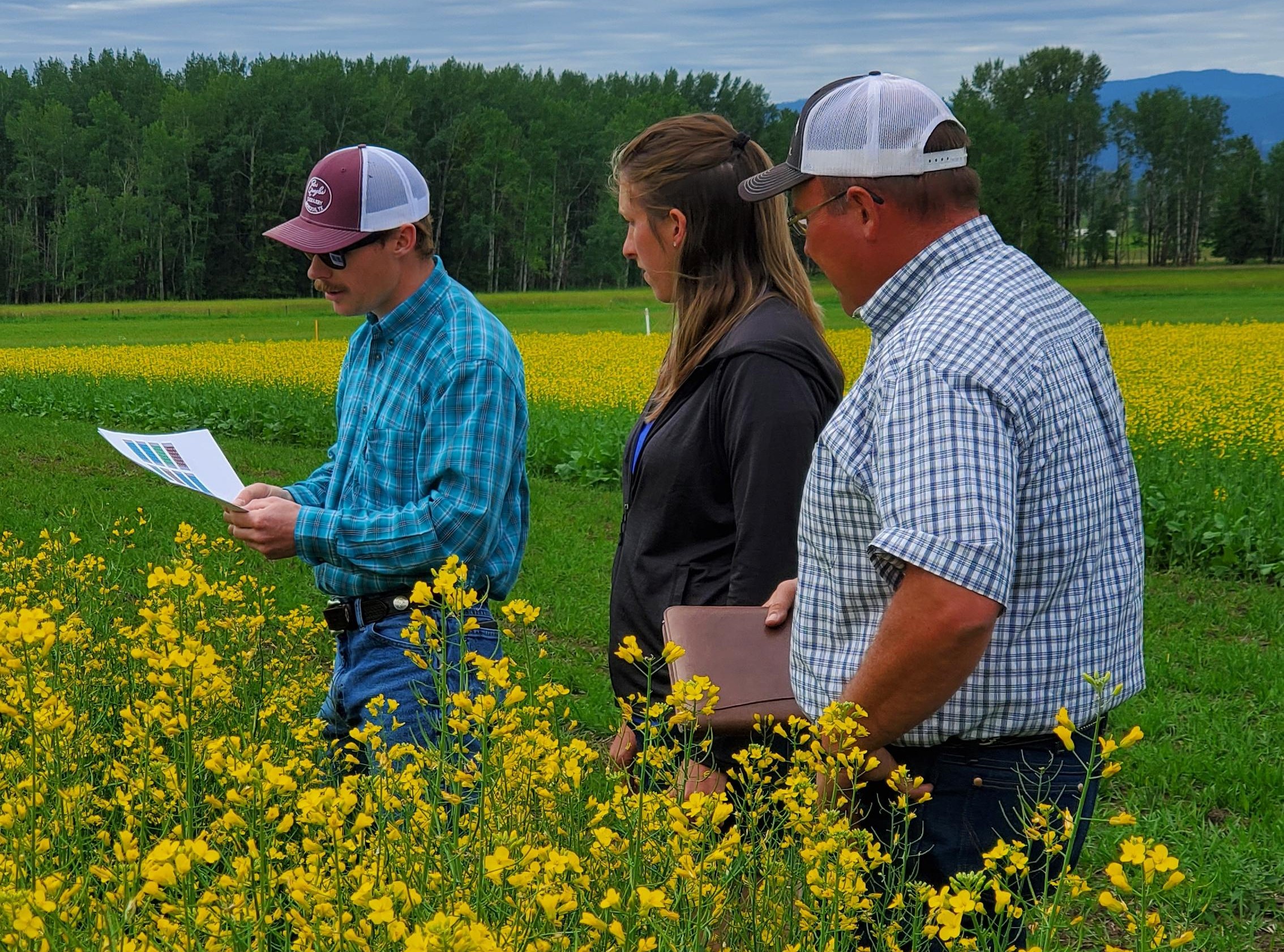 three people in field