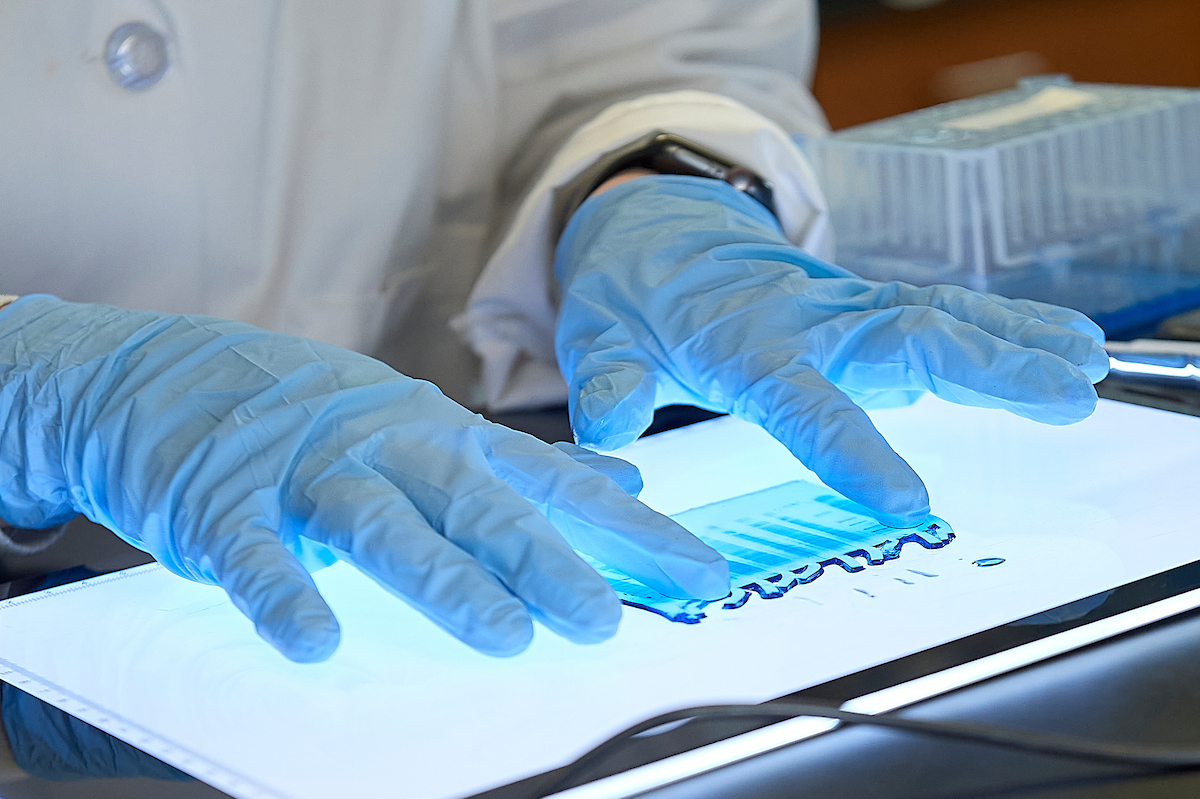 gloved hands and light table