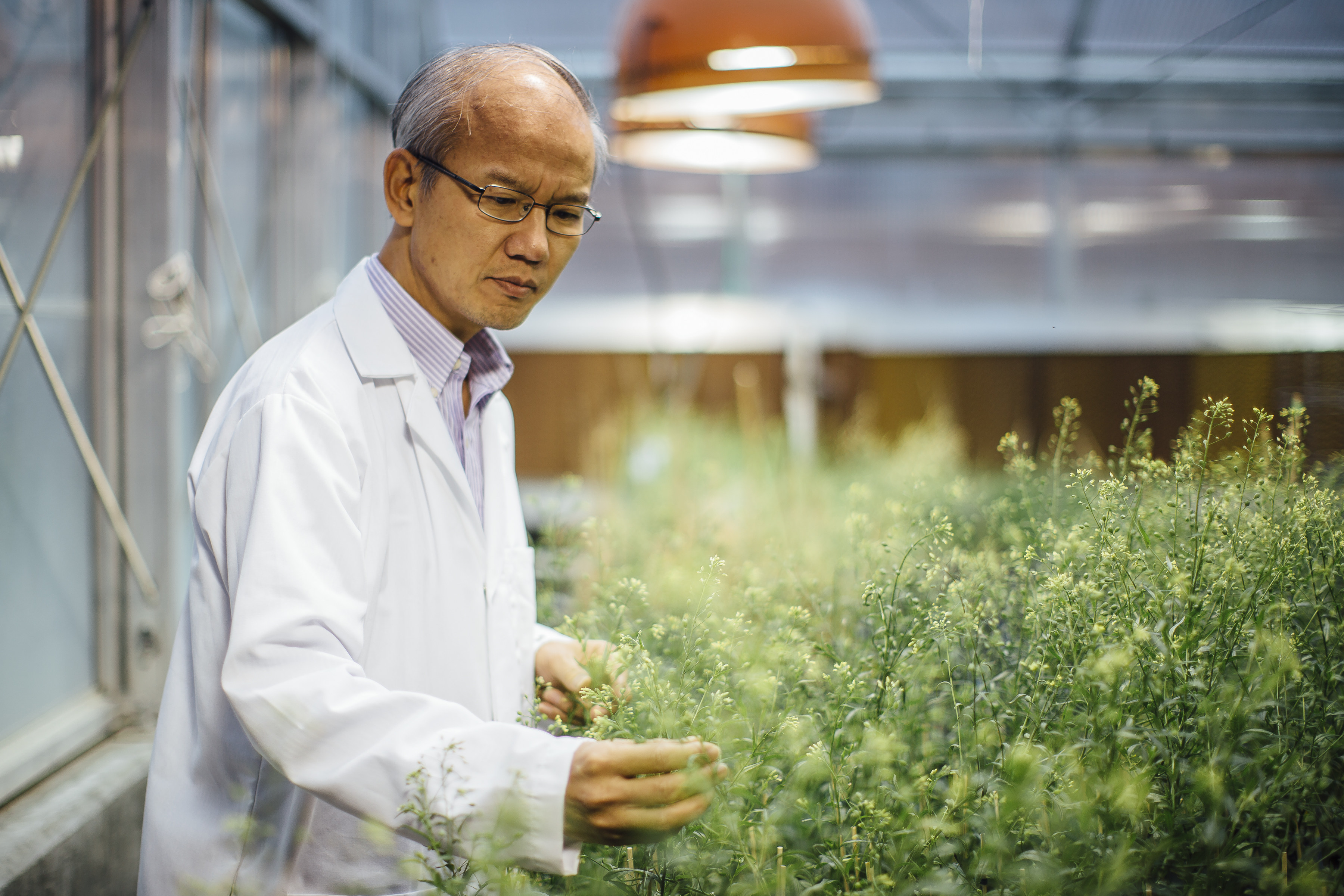 man in greenhouse