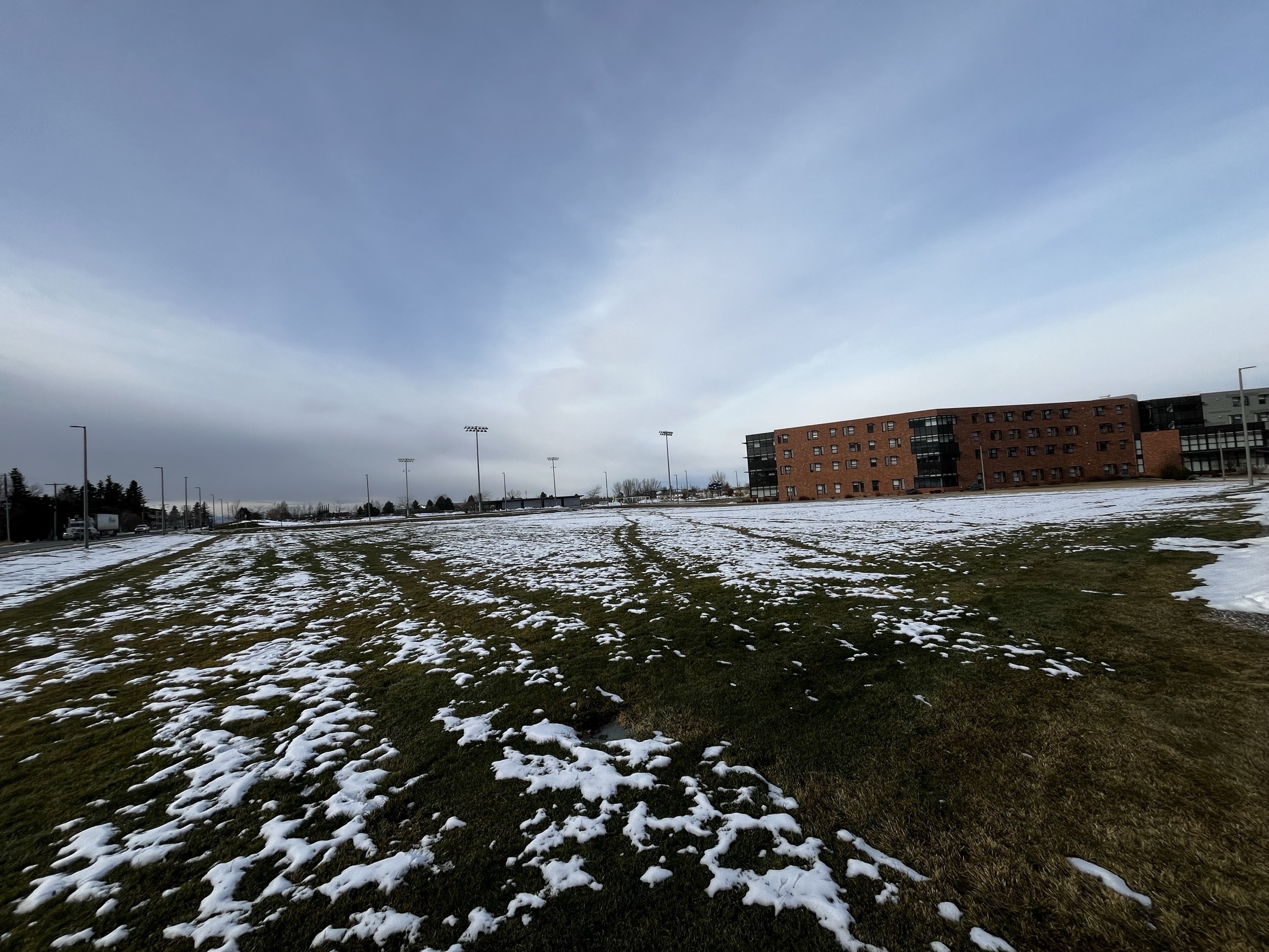 roskey grass fields