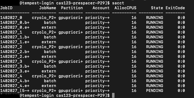 sacct check status